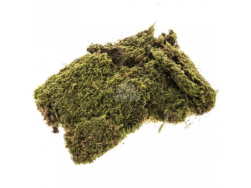 MUSCHIO NATURALE A TAPPETO PER PRESEPE 90 GR