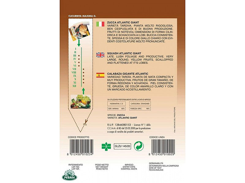 BUSTINA CON SEMI DI ZUCCA ATLANTIC GIANT