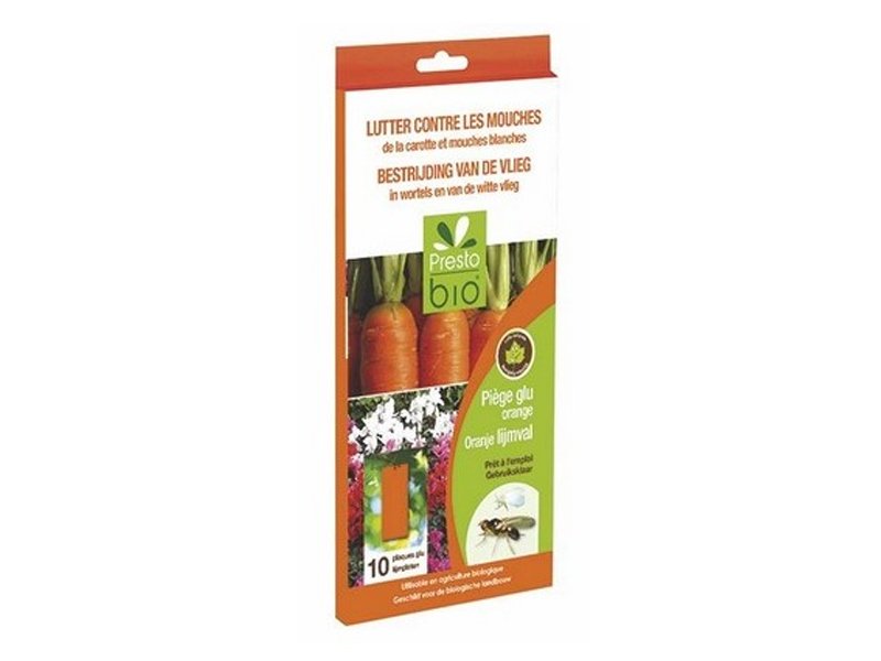 TRAPPOLE ADESIVE CONTRO LA MOSCA DELLA CAROTA