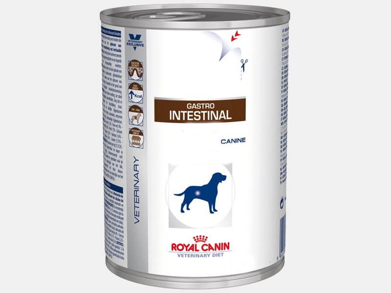 ROYAL CANIN GASTRO INTESTINAL PER CANI ADULTI