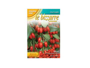GOJI LYCIUM BARBARUM