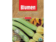 SEMI DI ZUCCHINO CHIARO BIOLOGICA