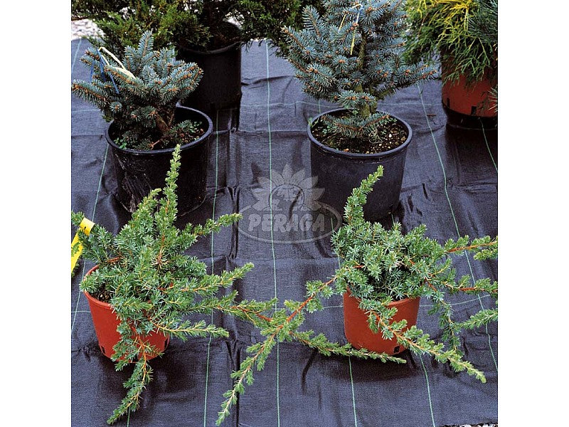 TELO PER PACCIAMATURA PE MICROFORATO M 1,5X10
