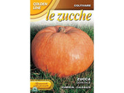 BUSTINA CON SEMI DI ZUCCA QUINTALE