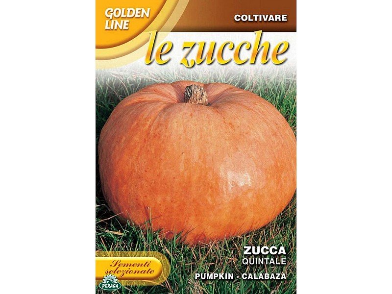 BUSTINA CON SEMI DI ZUCCA QUINTALE
