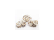 CONCHIGLIE ASSORTITE 400GR
