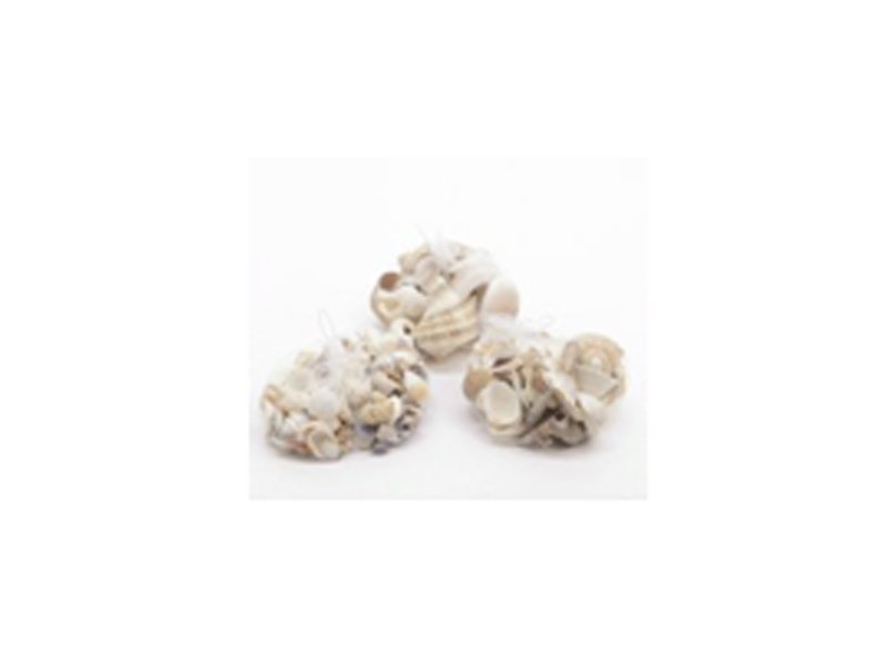 CONCHIGLIE ASSORTITE 400GR