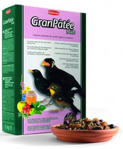 MANGIME COMPLETO PER UCCELLI FRUGIVORI E INSETTIVORI 1KG