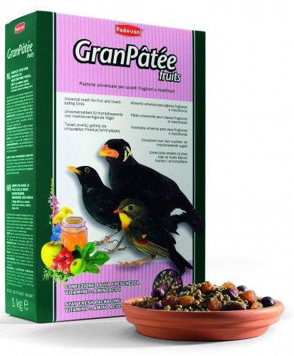 MANGIME COMPLETO PER UCCELLI FRUGIVORI E INSETTIVORI 1KG