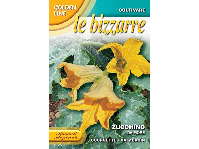 BUSTINA CON SEMI DI ZUCCHINO DA FIORE