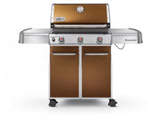 GENESIS E-310 MARRON GLACè