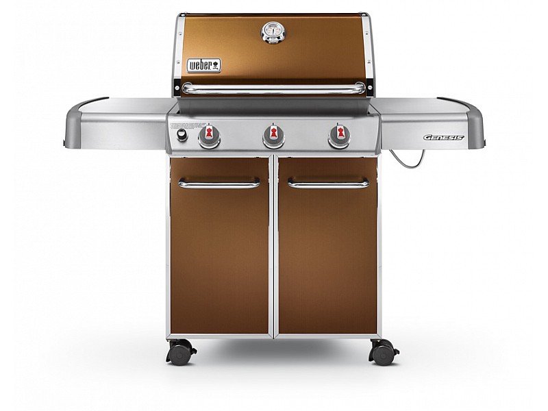 GENESIS E-310 MARRON GLACè