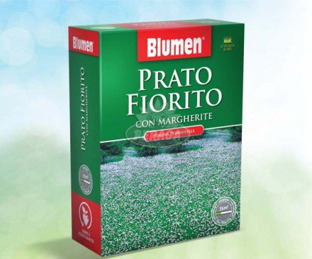 PRATO FIORITO CON MARGHERITE 200GR
