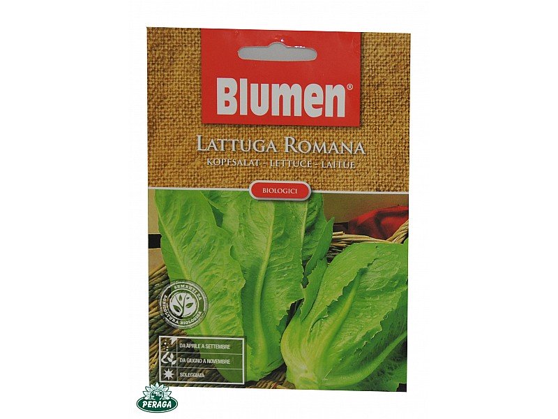 SEMI DI LATTUGA ROMANA BIOLOGICA