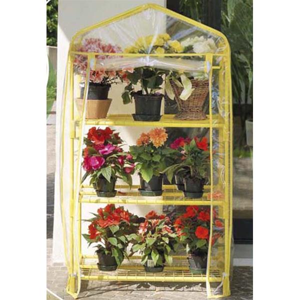 SERRA AZALEA COLORI ASSORTITI CM 70X50XH125