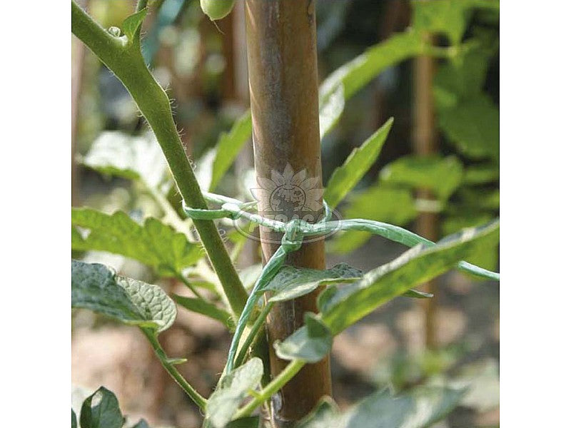 CORDICELLA IN RAFIA SINTETICA