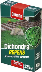 PRATO DICHONDRA REPENS 500GR