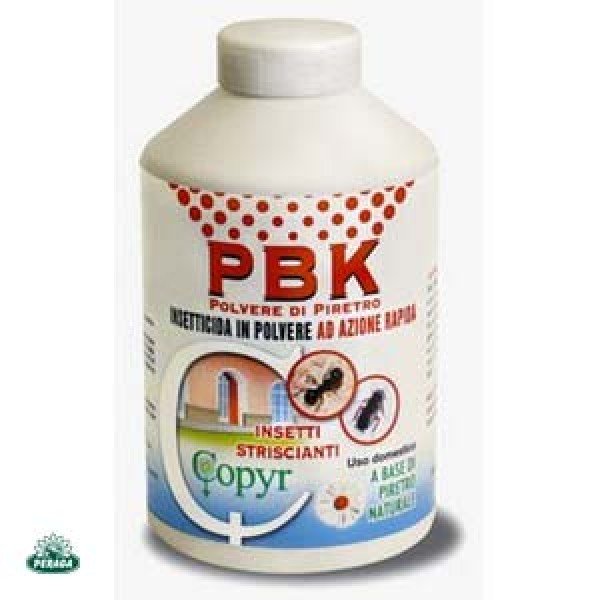 PKB INSETTICIDA NATURALE A BASE DI PIRETRO 250GR