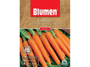 SEMI DI CAROTA BIOLOGICA