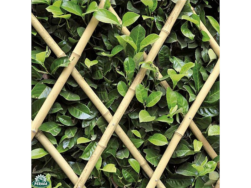 TRALICCIO IN BAMBOO CANNA GROSSA NATURALE M 1,80 X 0,60 X DIAM.