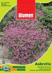 BUSTINA CON SEMI DI AUBRETIA CASCATA AZZURRA