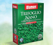PRATO TRIFOGLIO NANO PERENNE E ORNAMENTALE 200GR