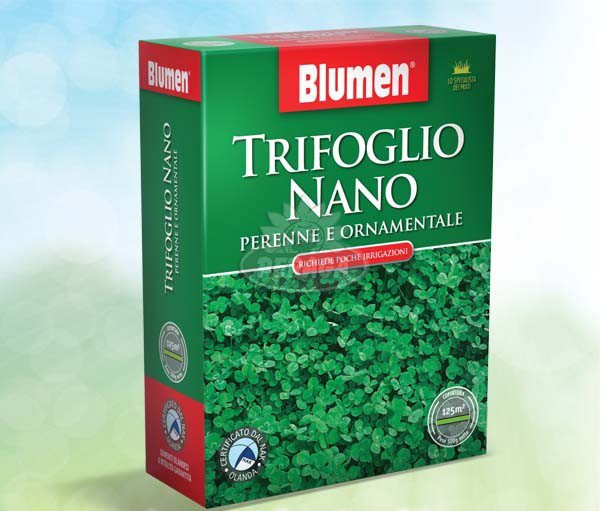 PRATO TRIFOGLIO NANO PERENNE E ORNAMENTALE 200GR