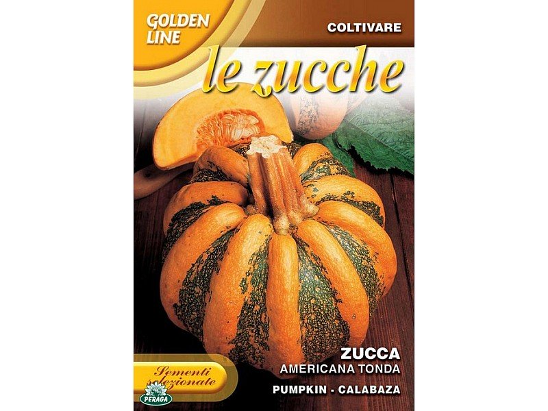BUSTINA CON SEMI DI ZUCCA AMERICANA TONDA