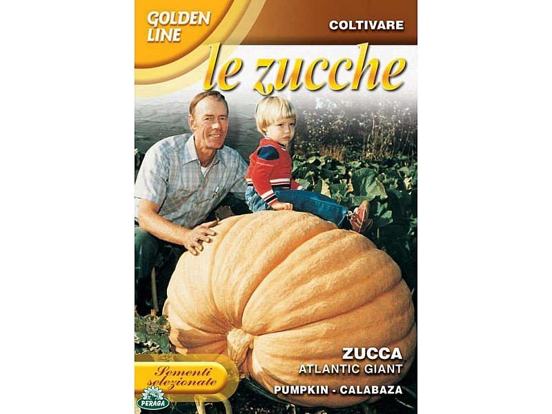 BUSTINA CON SEMI DI ZUCCA ATLANTIC GIANT