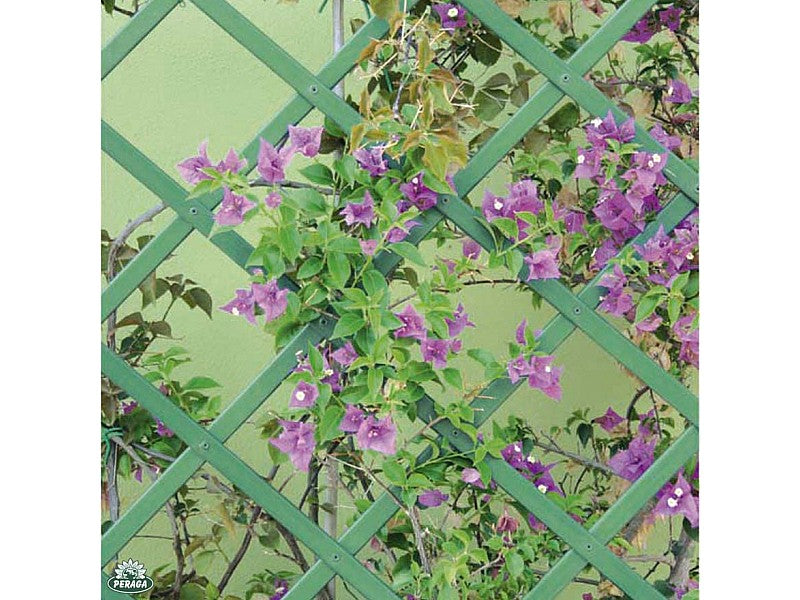 TRALICCIO ESTENSIBILE IN PVC COLORE VERDE M 2,00 X 1,00