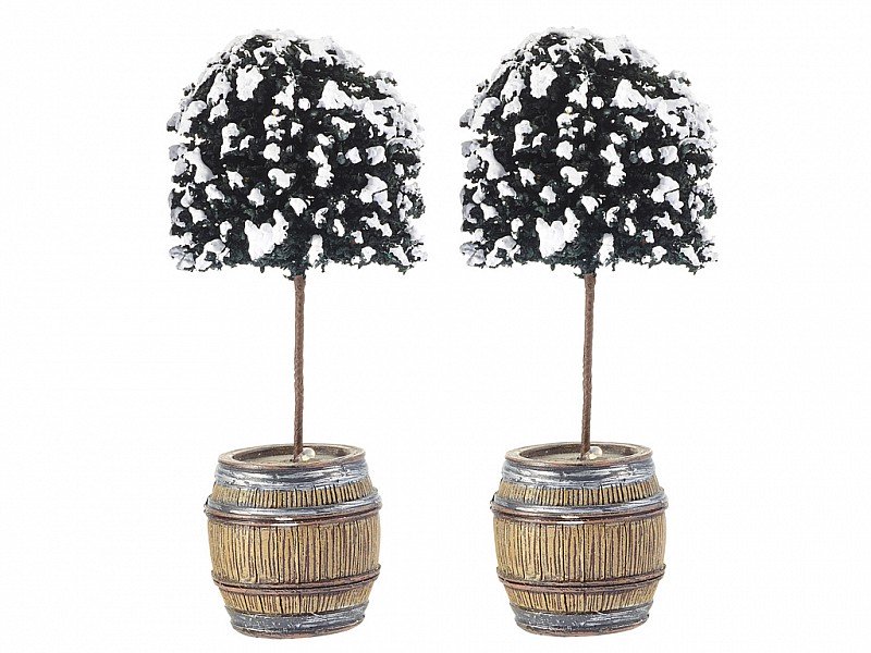 2 BOSSI INNEVATI IN BOTTE - BUSH IN BARREL