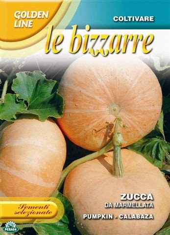 BUSTINA CON SEMI DI ZUCCA DA MARMELLATA