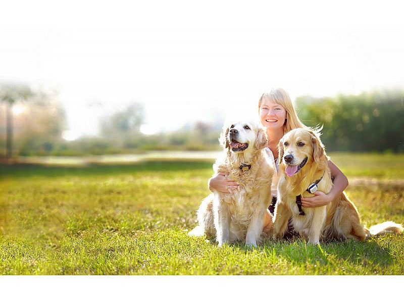 KIPPY RILEVATORE GPS PER CANI E GATTI