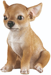 STATUETTA CHIHUAHUA FRANCO CM.18 VETRORESINA