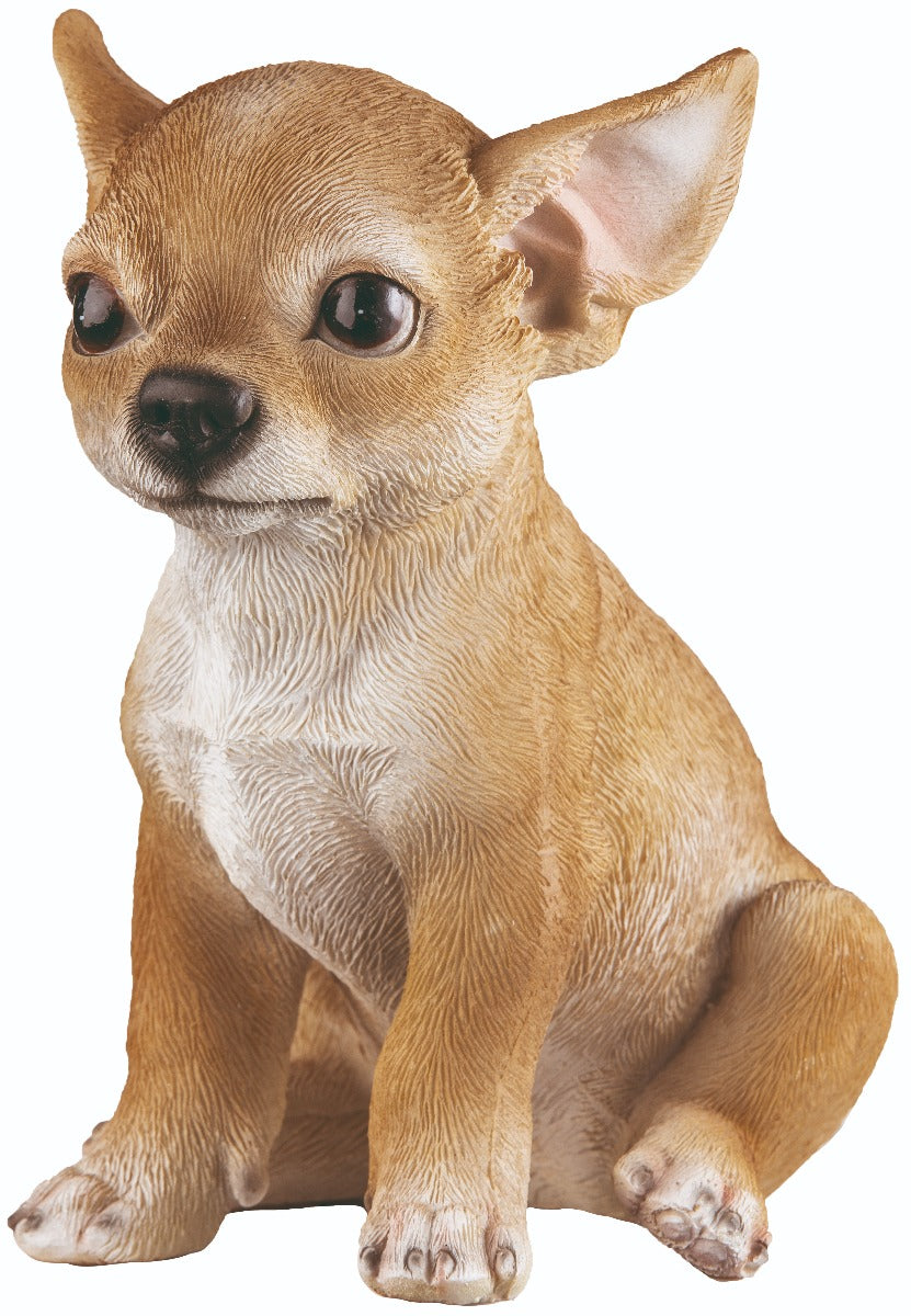 STATUETTA CHIHUAHUA FRANCO CM.18 VETRORESINA