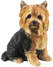 STATUETTA YORKSHIRE PIT CM.22 VETRORESINA