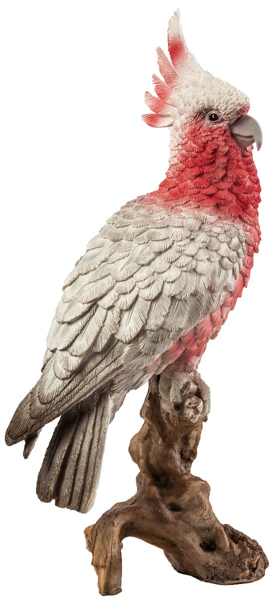 STATUETTA CACATUA GANG GANG CM.33 VETRORESINA