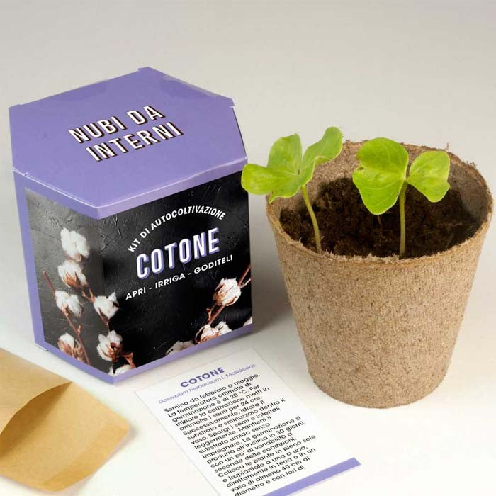 KIT AUTOCOLTIVAZIONE COTONE