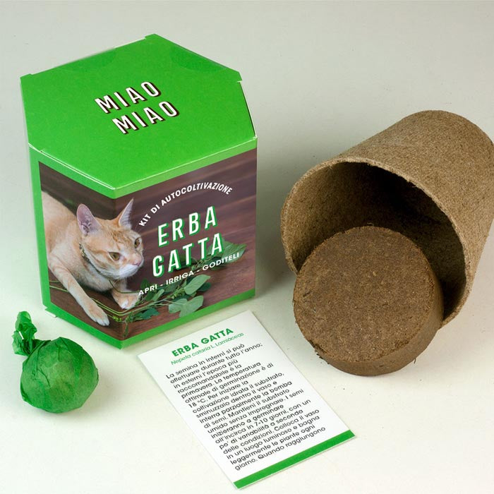 KIT AUTOCOLTIVAZIONE ERBA GATTA
