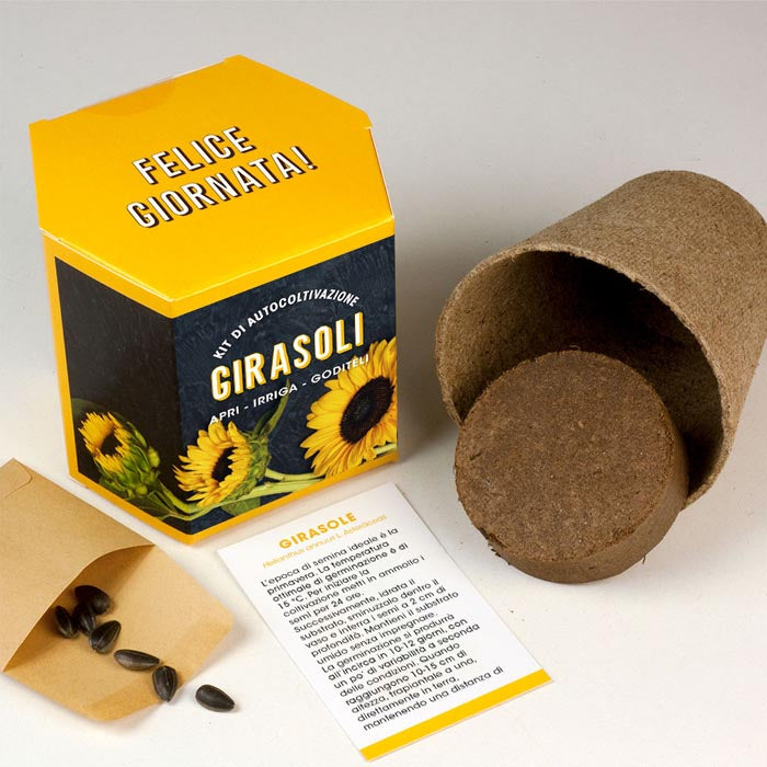 KIT AUTOCOLTIVAZIONE GIRASOLI