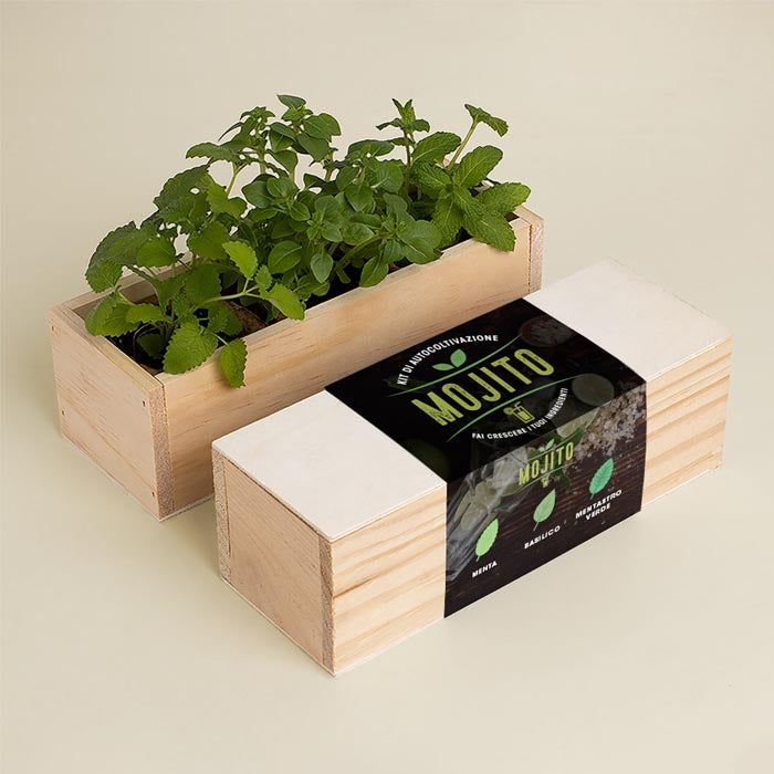 KIT AUTOCOLTIVAZIONE MOJITO