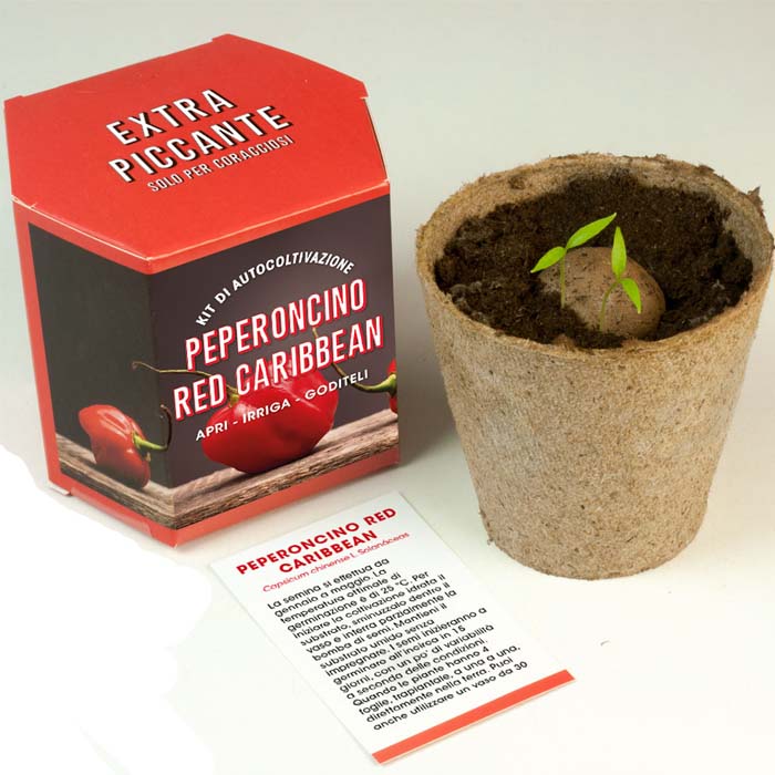 KIT DI AUTOCOLTIVAZIONE PEPERONCINO RED CARIBBEAN