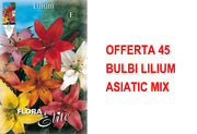 OFFERTA 45 BULBI LILIUM ASIATIC MIX