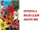 OFFERTA 9 BULBI LILIUM ASIATIC MIX