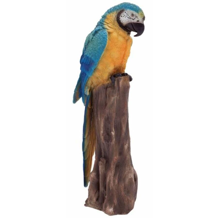 STATUA PAPPAGALLO AZZURRO 40 CM IN RESINA