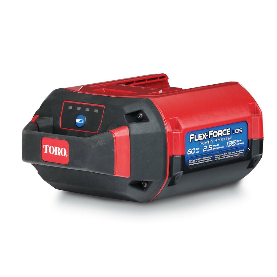 BATTERIA TORO 60V 2,5 AH LITIO L216 81825