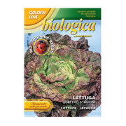 SEMI LATTUGA QUATTRO STAGIONI BIO