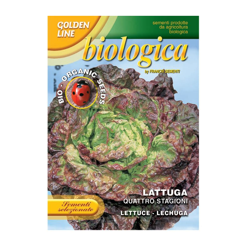SEMI LATTUGA QUATTRO STAGIONI BIO
