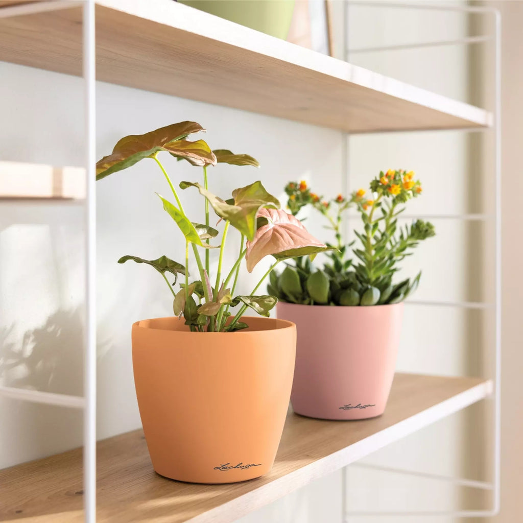 Vaso Classico "Deco 12" D13 H12CM Rosa Magnolia Opaco LECHUZA
