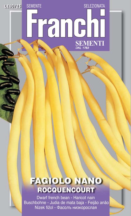 SCATOLA SEMI DI FAGIOLO NANO ROCQUENCOURT